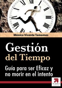 Descargar GESTIÓN DEL TIEMPO: La Guía Definitiva para ser Eficaz y no morir en el intento: Cómo luchar contra los Ladrones del Tiempo pdf, epub, ebook