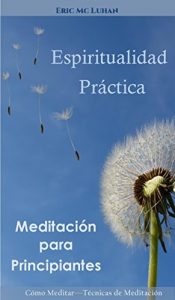 Descargar Espiritualidad Practica: Meditacion para Principiantes (Como meditar y Tecnicas de Meditacion) (Motivaciones nº 1) pdf, epub, ebook