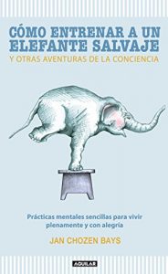 Descargar Cómo entrenar a un elefante salvaje y otras aventuras de la conciencia pdf, epub, ebook