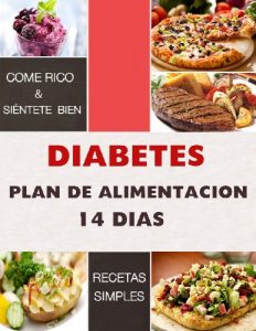 Descargar DIABETES – Plan de Alimentación de 14 Días: (Guia de diabetes español. Aprende a controlar la diabetes sin problemas) pdf, epub, ebook