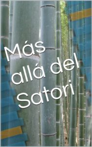 Descargar Más allá del Satori pdf, epub, ebook