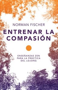 Descargar Entrenar la compasión: Enseñanzas zen para la práctica de Lojong pdf, epub, ebook