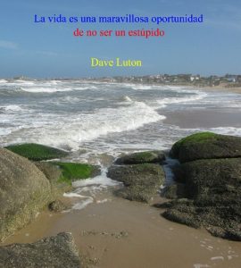 Descargar La vida es una maravillosa oportunidad de no ser un estúpido pdf, epub, ebook