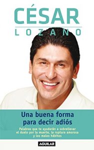 Descargar Una buena forma para decir adiós pdf, epub, ebook
