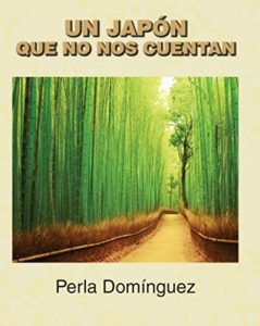 Descargar Un Japón que no nos cuentan: Viajar a Japón pdf, epub, ebook