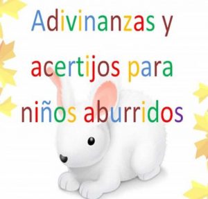 Descargar ADIVINANZAS Y ACERTIJOS PARA NIÑOS ABURRIDOS. pdf, epub, ebook