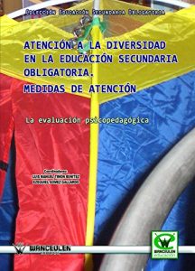 Descargar Atención a la diversidad en Educación Secundaria Obligatoria. Medidas de atención: La atención psicopedagógica pdf, epub, ebook