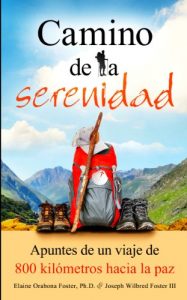 Descargar Camino de la serenidad: Apuntes de un viaje de 800 kilómetros hacia la paz pdf, epub, ebook