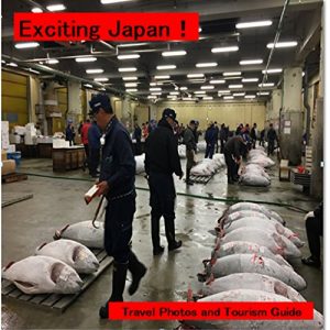 Descargar Emocionante Japón!: Descubre lugar de diversión (Foto y guía de libros nº 1) pdf, epub, ebook