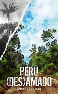 Descargar Perú (des)amado: Miedo y alegría en el país de Arguedas pdf, epub, ebook