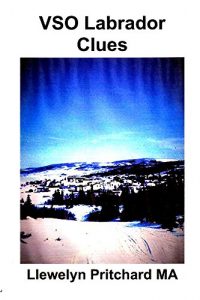 Descargar VSO Labrador Clues (Borondatezko Service Overseas (VSO) Ternua eta Labrador, Kanada 1960-70) (Basque Edition) pdf, epub, ebook