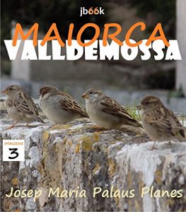 Descargar MALLORCA: VALLDEMOSSA [3] (Catalan Edition) pdf, epub, ebook