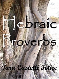 Descargar Proverbios Hebraicos (Un Mundo de Proverbios nº 11) pdf, epub, ebook