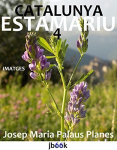 Descargar CATALUNYA: ESTAMARIU [4] (Catalan Edition) pdf, epub, ebook