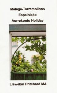 Descargar Malaga -Torremolinos Espainiako Aurrekontu Holiday (Llewelyn Pritchard MA Diaries Illustrated Book 6) (Basque Edition) pdf, epub, ebook