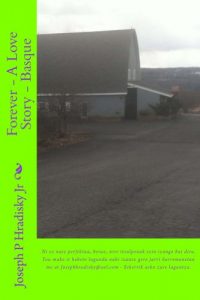 Descargar Forever – A Love Story – Basque (Basque Edition) pdf, epub, ebook