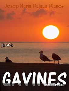 Descargar GAVINES [1] (Catalan Edition) pdf, epub, ebook