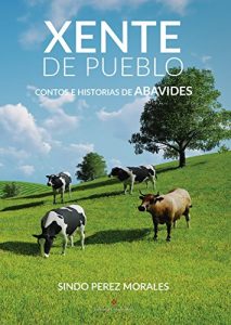 Descargar XENTE DE PUEBLO: Contos e historias de Abavides (Galician Edition) pdf, epub, ebook