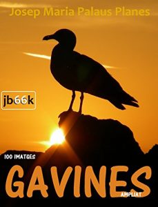 Descargar Gavines [ampliat] (Catalan Edition) pdf, epub, ebook