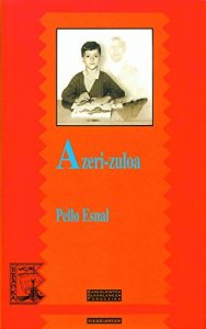 Descargar Azeri-zuloa (Branka) pdf, epub, ebook