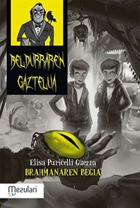 Descargar BRAHMANAREN BEGIA (Beldurraren gaztelua) pdf, epub, ebook
