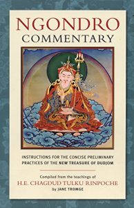 Descargar Ngondro Commentary: Instructions for the Concise Preliminary Practices (English Edition) pdf, epub, ebook