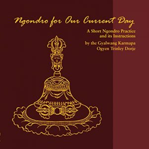 Descargar Ngondro for Our Current Day: A Short Ngondro Practice and its Instructions (English Edition) pdf, epub, ebook
