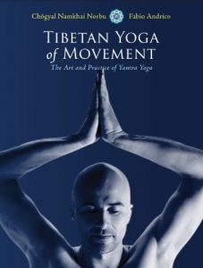 Descargar Tibetan Yoga of Movement: The Art and Practice of Yantra Yoga pdf, epub, ebook