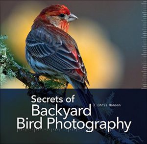 Descargar Secrets of Backyard Bird Photography pdf, epub, ebook