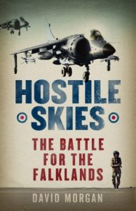 Descargar Hostile Skies (English Edition) pdf, epub, ebook