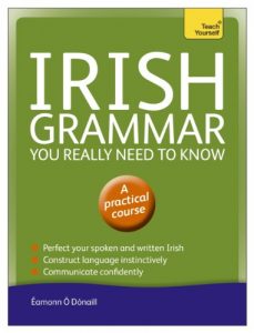 Descargar Irish Grammar You Really Need to Know: Teach Yourself (Teach Yourself Language Reference) (English Edition) pdf, epub, ebook