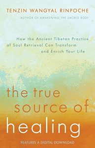Descargar The True Source of Healing: How the Ancient Tibetan Practice of Soul Retrieval Can Transform and Enrich Your Life pdf, epub, ebook