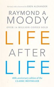 Descargar Life After Life pdf, epub, ebook