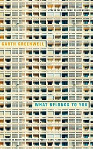 Descargar What Belongs to You (English Edition) pdf, epub, ebook