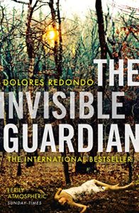 Descargar The Invisible Guardian (The Baztan Trilogy, Book 1) pdf, epub, ebook