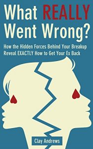 Descargar What Really Went Wrong: How the Hidden Forces Behind Your Breakup Reveal Exactly How to Get Your Ex Back (English Edition) pdf, epub, ebook