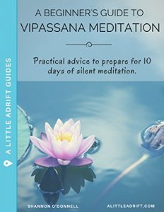 Descargar A Beginner’s Guide to  Vipassana Meditation: Practical advice to prepare for 10 days of silent meditation. (English Edition) pdf, epub, ebook