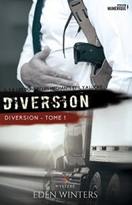 Descargar Diversion: Diversion, T1 (Mystère) pdf, epub, ebook