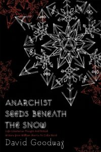 Descargar Anarchist Seeds beneath the Snow pdf, epub, ebook