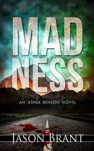 Descargar Madness (Asher Benson Book 2) (English Edition) pdf, epub, ebook