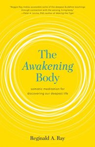 Descargar The Awakening Body: Somatic Meditation for Discovering Our Deepest Life pdf, epub, ebook
