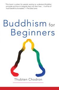 Descargar Buddhism for Beginners pdf, epub, ebook