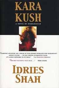 Descargar Kara Kush: A Novel of Afghanistan pdf, epub, ebook
