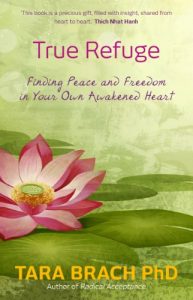 Descargar True Refuge: Finding Peace and Freedom in Your Own Awakened Heart pdf, epub, ebook