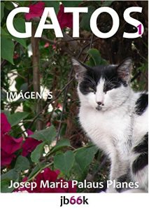 Descargar GATOS [1] pdf, epub, ebook