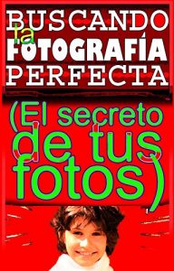 Descargar BUSCANDO LA FOTOGRAFÍA PERFECTA: EL SECRETO DE TUS FOTOS pdf, epub, ebook