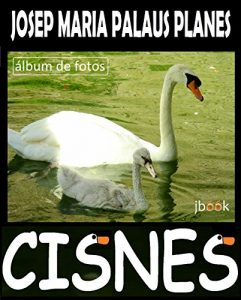 Descargar CISNES pdf, epub, ebook