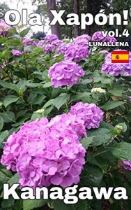 Descargar Ola Xapón! 4: Kanagawa (Galician Edition) pdf, epub, ebook