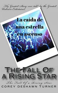 Descargar La caída de una estrella en ascenso pdf, epub, ebook