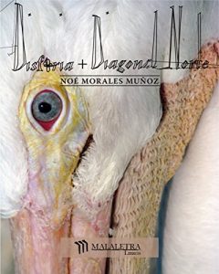 Descargar Disforia + Diagonal Norte pdf, epub, ebook